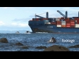 Container Ship Tauranga 8 1819